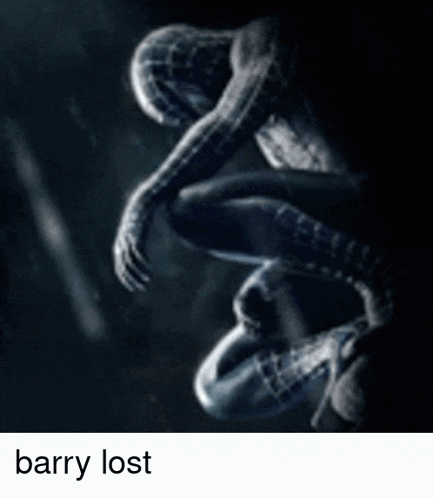 a picture of a spiderman with the words barry lost underneath it