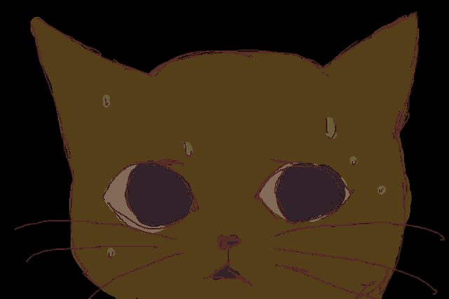 a close up of a cat 's face with big eyes