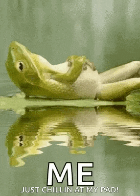 a frog is laying on a leaf in the water with the words `` me just chillin at my pad '' .