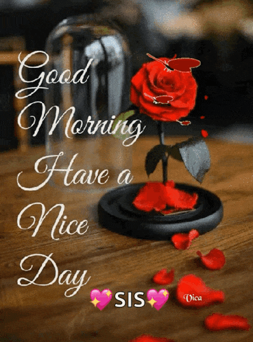 a picture of a rose in a glass dome with the words good morning have a nice day