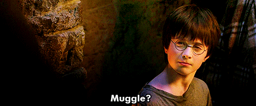 And So It Begins... GIF - Harry Potter Sorcerers Stone Hagrid GIFs