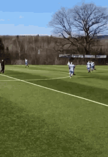 a group of people are playing soccer on a field with a tree in the background