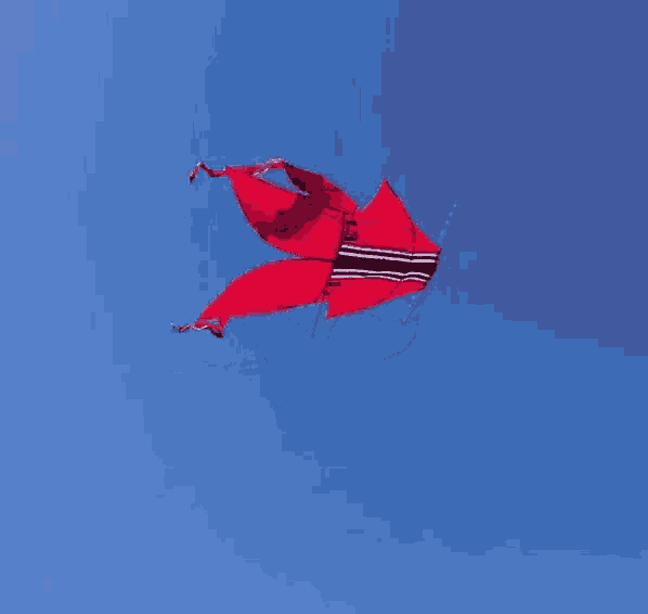 a red kite is flying in a blue sky and the words terbang tinggi are below it