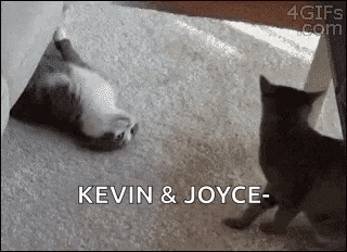 two cats are playing with each other on the floor and one of them is laying on its back .