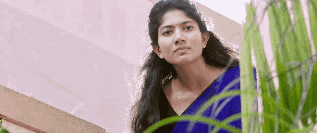 a young woman in a blue saree is standing next to a plant .