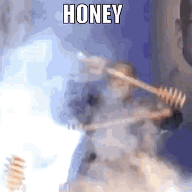 Honey Iron Chef GIF - Honey Iron Chef Secret Ingredient GIFs