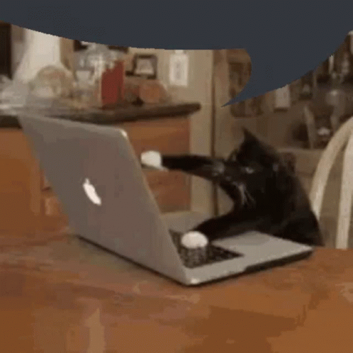 Cat Typing GIF - Cat Typing Speech Bubble GIFs