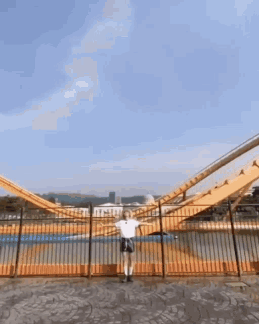 a woman is standing in front of a roller coaster with her arms outstretched .