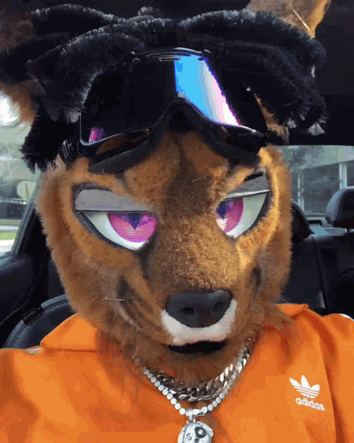 a stuffed animal wearing sunglasses and an orange adidas sweatshirt