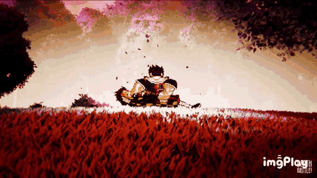 a pixel art of a man in a field with the words imgplay on the bottom right