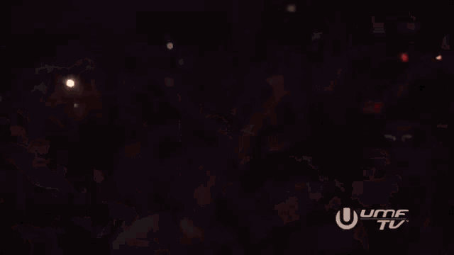 a crowd of people are dancing at a concert and the word umf tv is on the bottom
