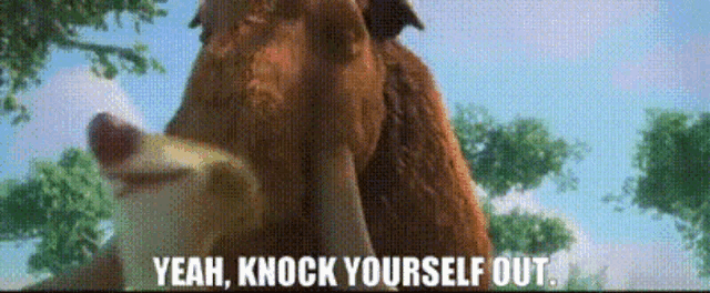 a cartoon bear says " yeah knock yourself out " in front of a tree