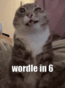 a cat with its mouth open and the words wordle in 6