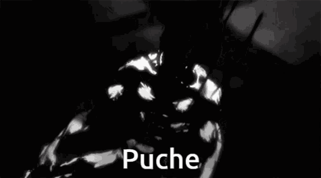 a black and white image of a hand reaching out in the dark with the word puche written below it .