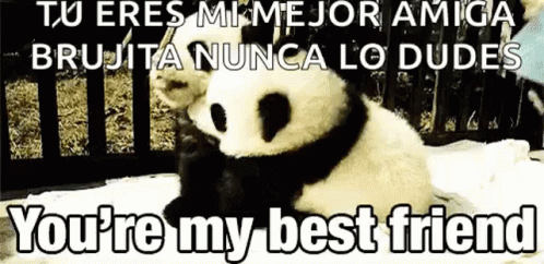 Panda Baby GIF - Panda Baby Hug GIFs