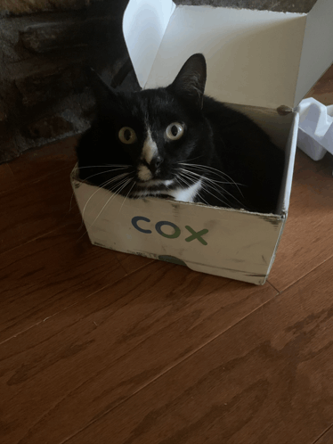 Cox Box Cat Box GIF - Cox Box Cat Box GIFs