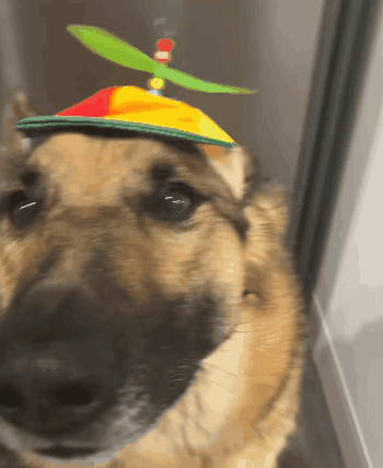 Best Boy Benson Helicopter Hat GIF