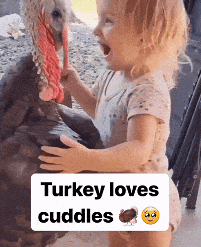 Vegetarian Thanksgiving Turkey GIF - Vegetarian Thanksgiving Turkey Turkey Hug GIFs