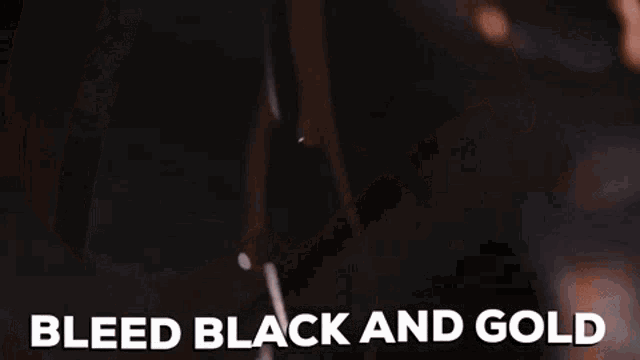 Black Gold GIF - Black Gold Ucf GIFs