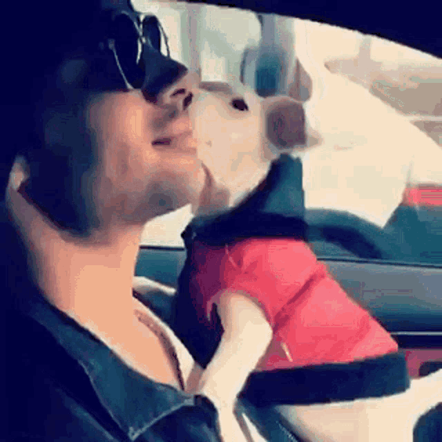 a man is kissing a small dog that is wearing a shirt