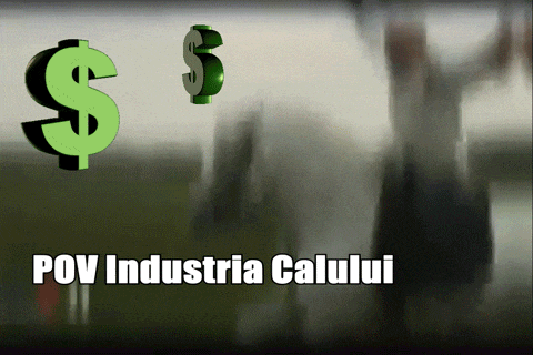 a green dollar sign with the words pov industria calului written below it