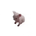 a white cat with a red heart on its back is standing on a white background .