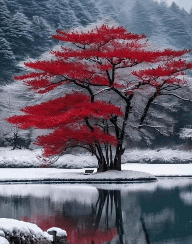 a tree with red leaves is standing on a small island in the middle of a lake