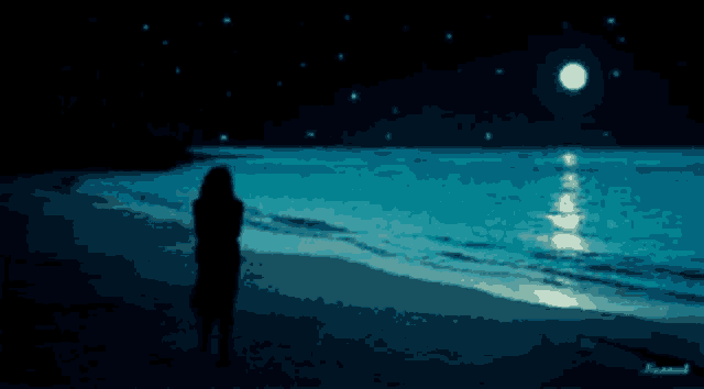 a woman stands on a beach at night looking at the moon