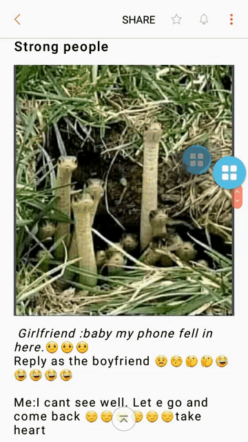 a screenshot of a strong people page with a picture of a bunch of skeletons in the grass