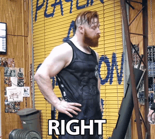 Right Stephen Farrelly GIF - Right Stephen Farrelly Celtic Warrior Workouts GIFs
