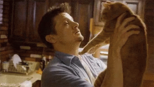 Moving Too Fast GIF - Toofast Cat Kiss GIFs