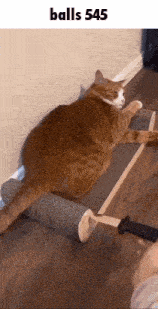 a fat cat is laying on a scratching post with a knife in its paws .