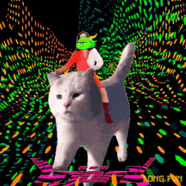 a person riding on the back of a white cat with the letters ong.fwn on the bottom