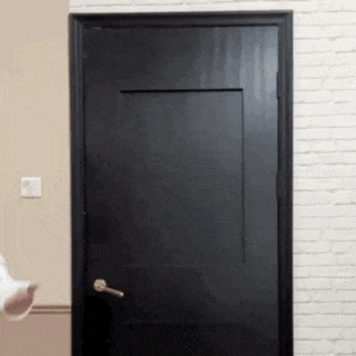 a person is standing in front of a black door with a brick wall in the background .
