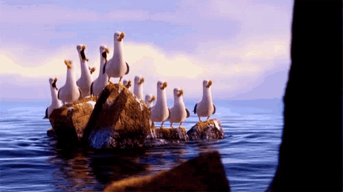 a flock of seagulls are standing on a rock in the ocean