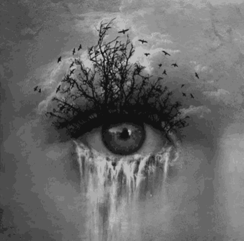 a black and white painting of an eye with a tree in it