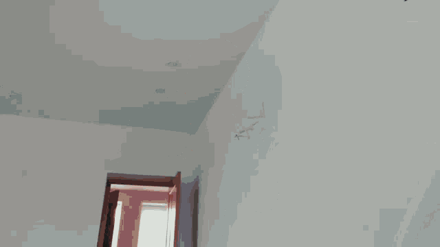 a person standing in a room with a white wall and a doorway