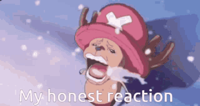 My Honest Reaction One Piece GIF