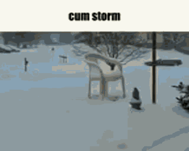 a chair is sitting in the middle of a snowy yard