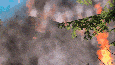 a computer generated image of a forest fire with smoke and flames