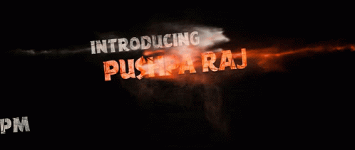 Prelude Of Pushparaj Pushpa GIF - Prelude Of Pushparaj Pushpa Alluarjun GIFs