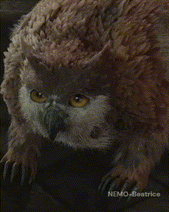 a painting of an owl with the name nemo-beatrice on the bottom