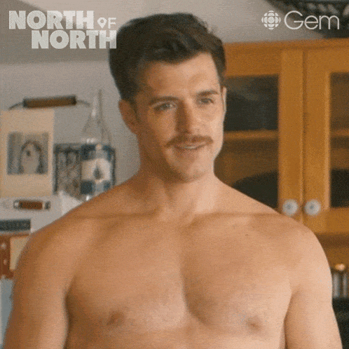 a shirtless man with a mustache is standing in front of a cabinet with the words north of north written on it