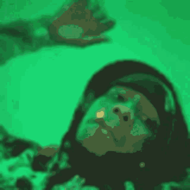 a close up of a person smoking a cigarette in a dark room .