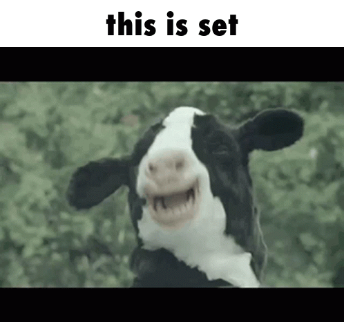 Cow This Is Set GIF - Cow This Is Set Uwubomber GIFs
