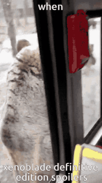 a picture of a cat with the caption when xenoblade definitive edition spoilers on it