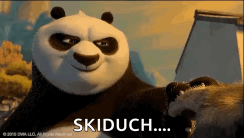 Skidoosh Kung Fu Panda GIF - Skidoosh Kung Fu Panda Po GIFs