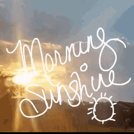 Morning Sunshine GIF - Morning Sunshine Greetings GIFs