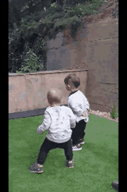two baby boys are standing on a grassy field .