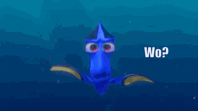 a blue cartoon fish with big eyes and the words woo000pppp